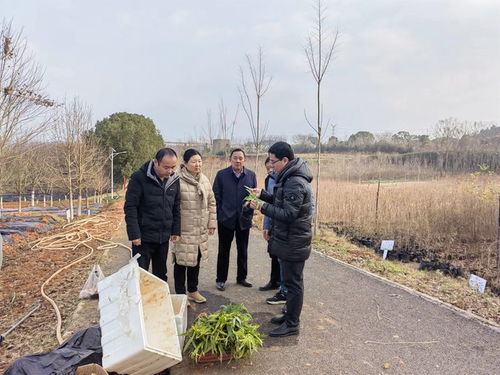 中藥材所栽培團隊赴武漢市林業工作站開展合作交流