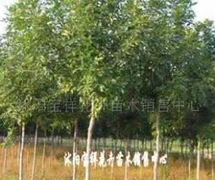 供應電線電纜填充用高檔麻線_紡織、皮革_世界工廠網中國產品信息庫