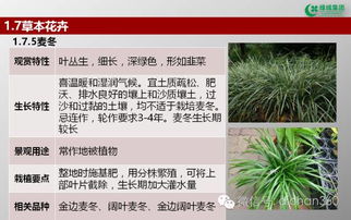 綠城集團園林軟景苗木圖譜 全套