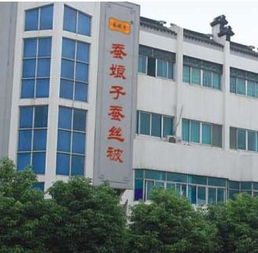 吳江市同里鎮(zhèn)蠶娘子蠶絲被服制品廠床上用品投資加盟問答 第1頁