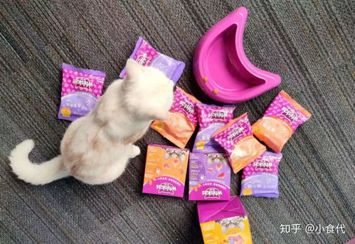 投資超6億 瑪氏天津寵物食品新廠動工,我們和中國區總裁聊了聊